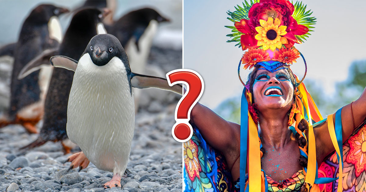 Can You Conquer All 7 Continents in This 30-Question Quiz?