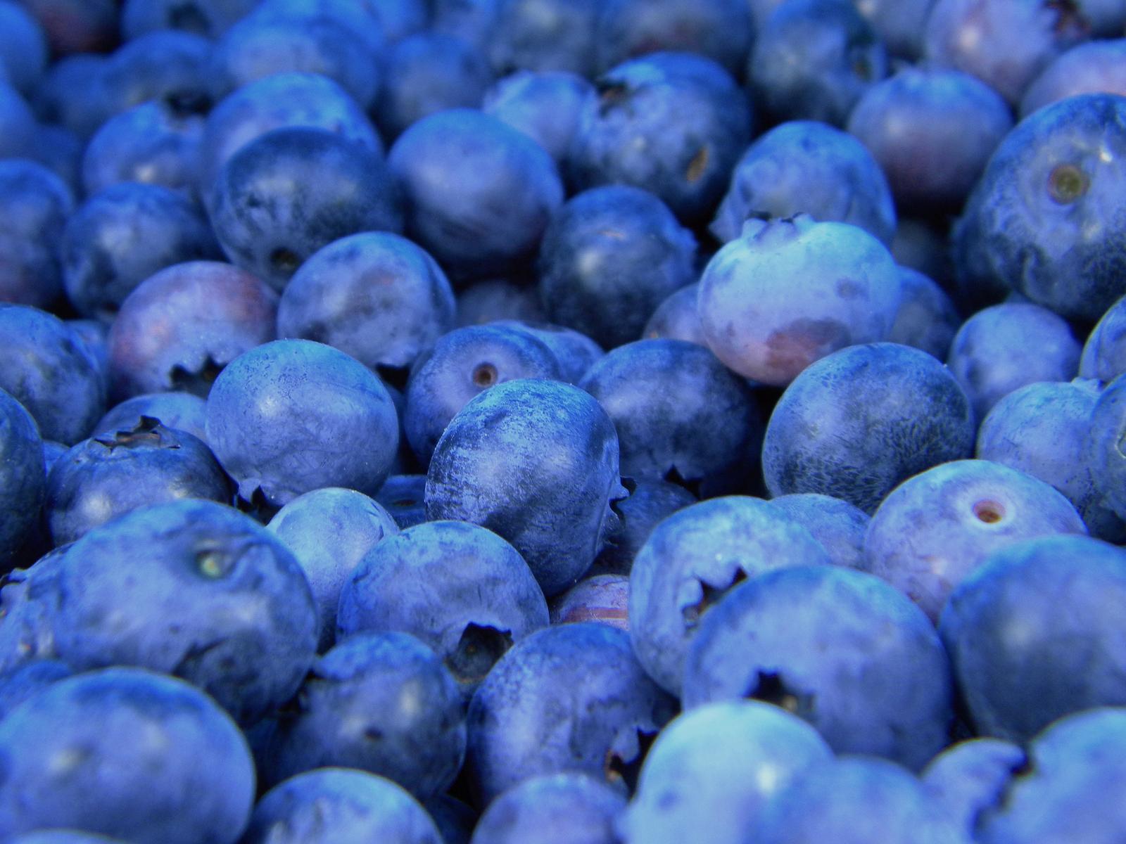 These Are the 🥑 Healthiest Foods in the Human Diet, According to AI. 🍄 How Many Have You Been Eating? Blueberries