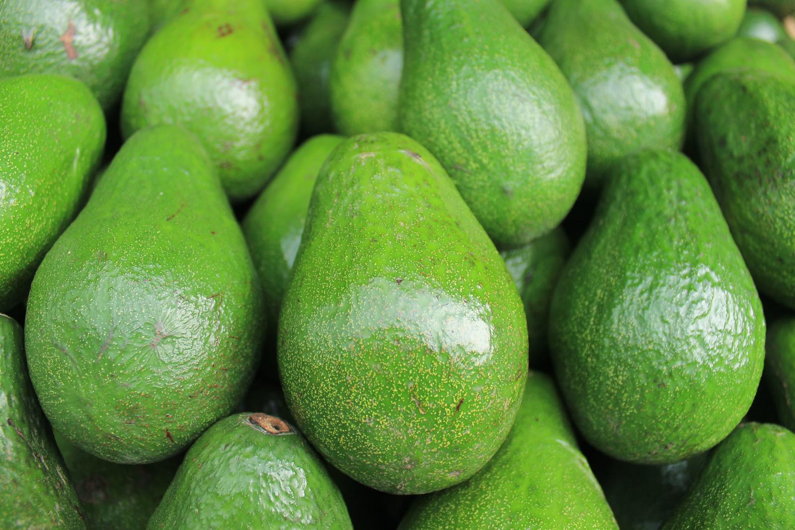 What Should I Order For Dinner? Quiz Avocado