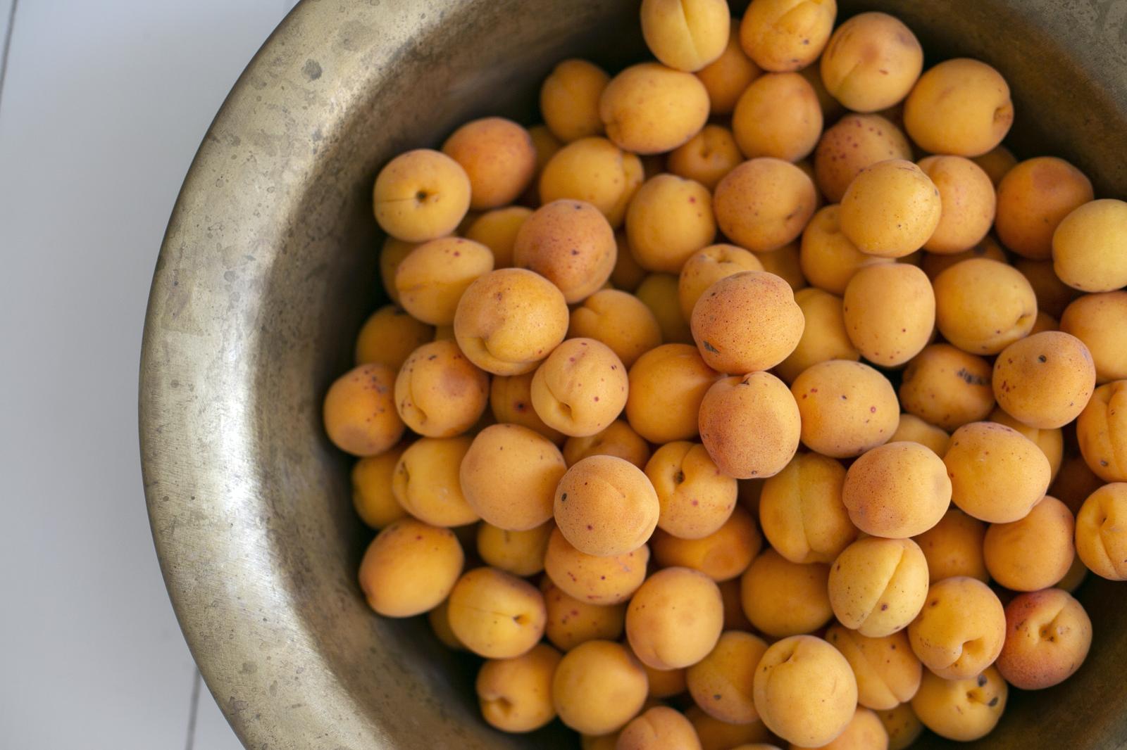 Can You *Actually* Score at Least 83% On This All-Rounded Knowledge Quiz? Apricots