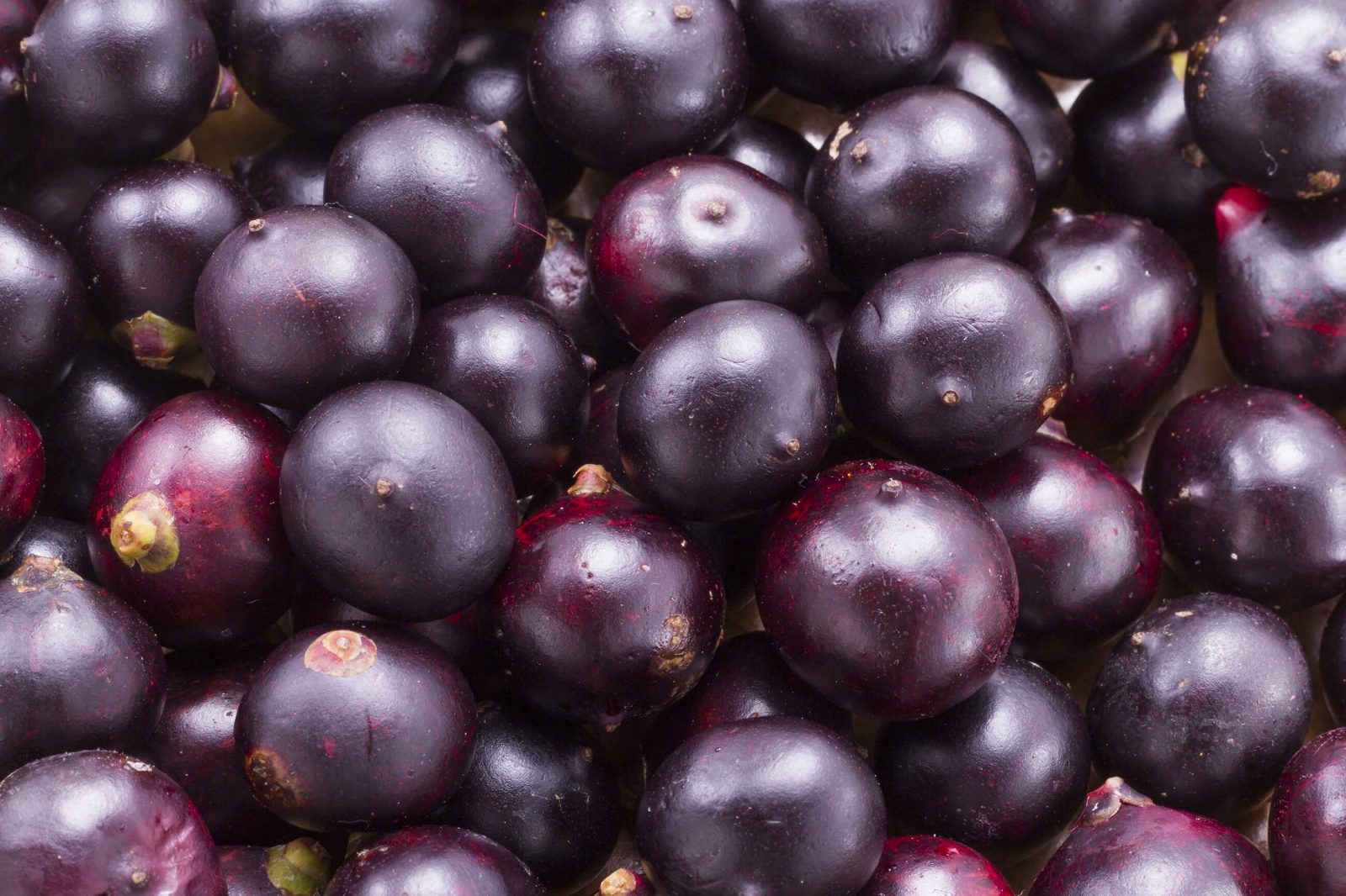 Purple Food Acai berries
