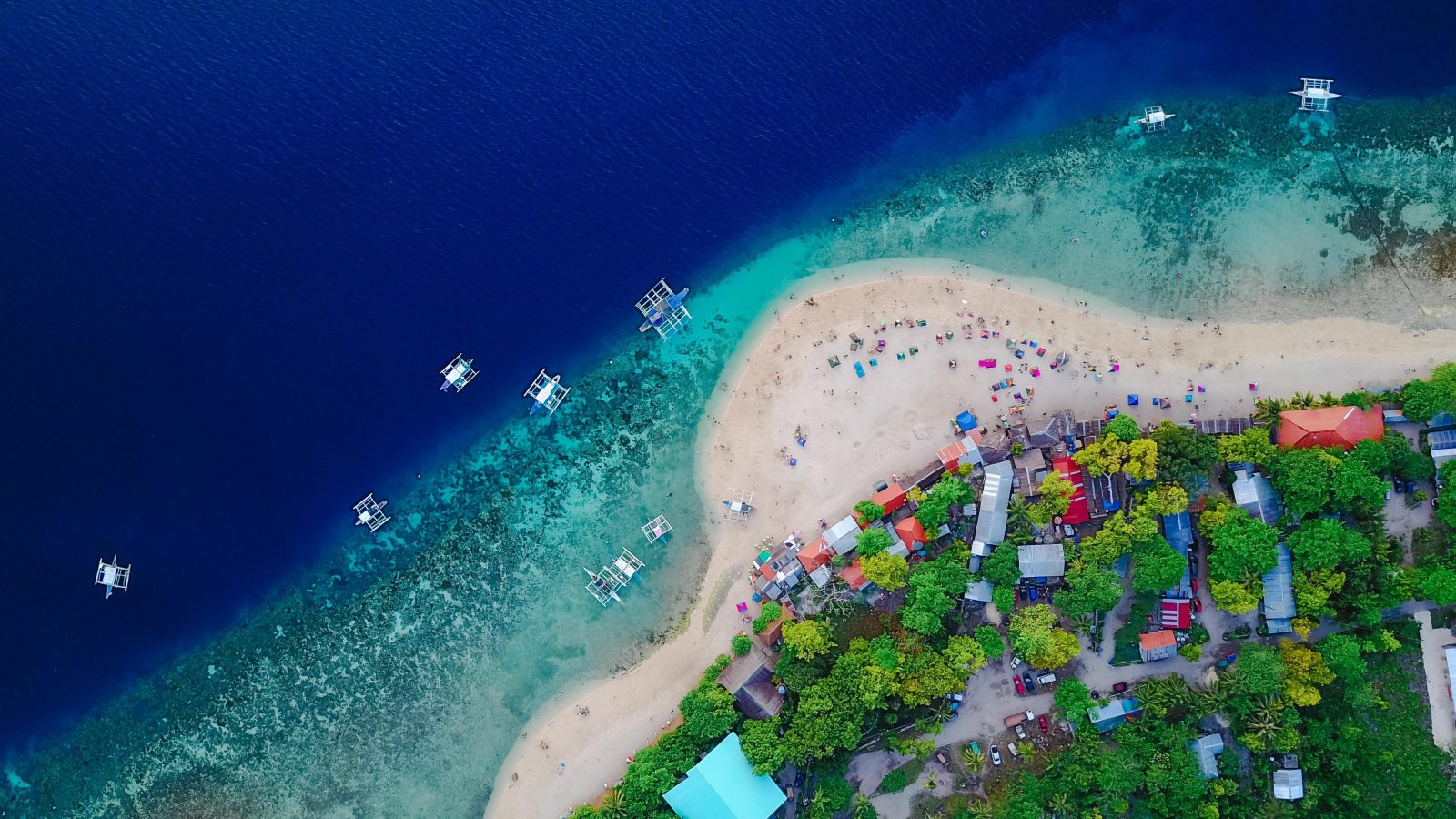 Nobody Can Get Full Marks on This 24-Question Geography Test Except for Legitimate Scholars — Let’s See If You Can Do It Cebu