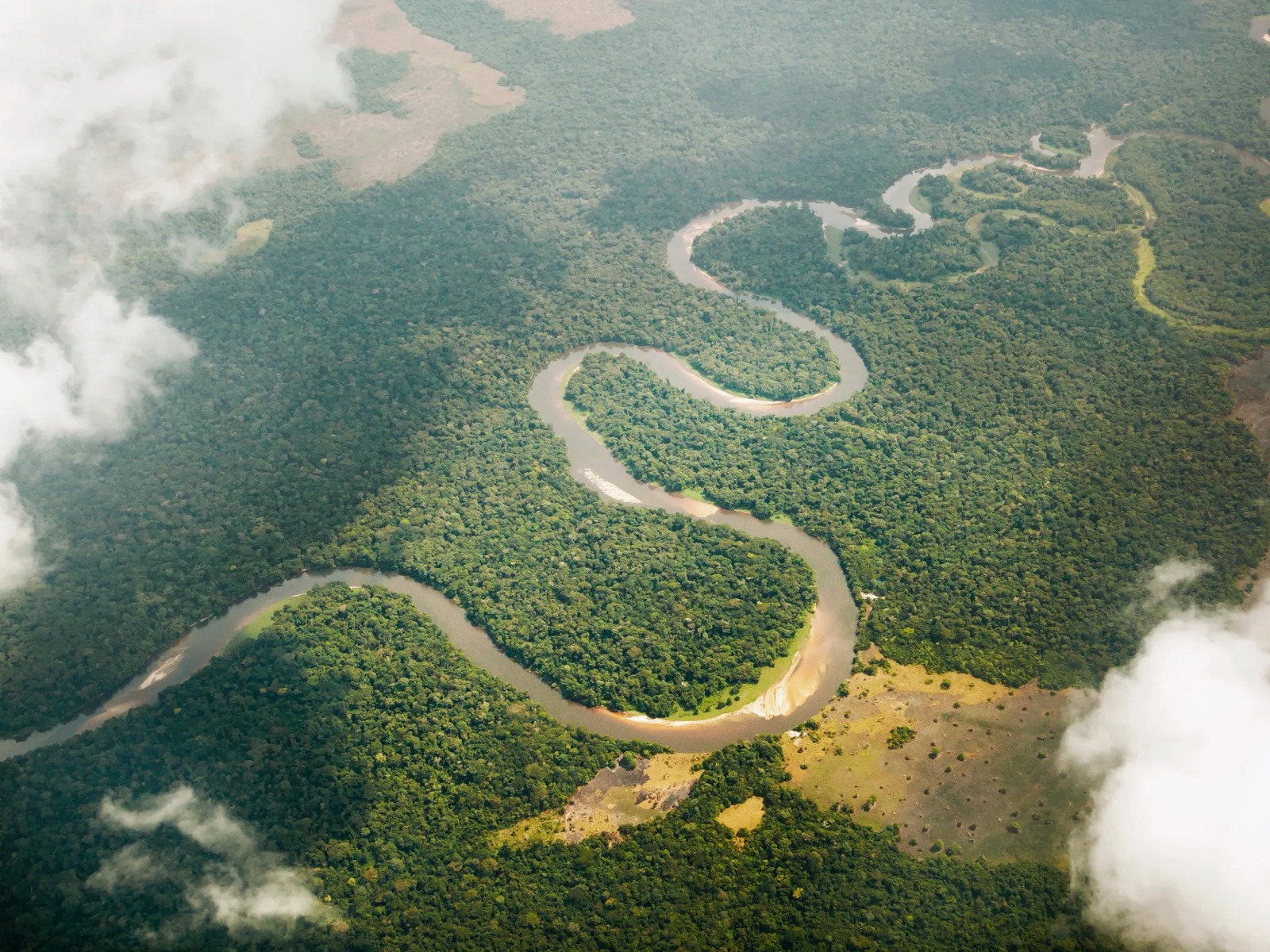 Do You Have the Smarts to Pass This World Geography Quiz With Flying Colors 🌈? Congo River