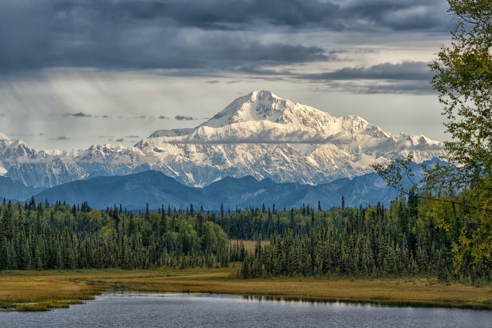 This 25-Question Mixed Trivia Quiz Was Made to Prevent You from Passing. Can You Beat the Odds? Mount Denali