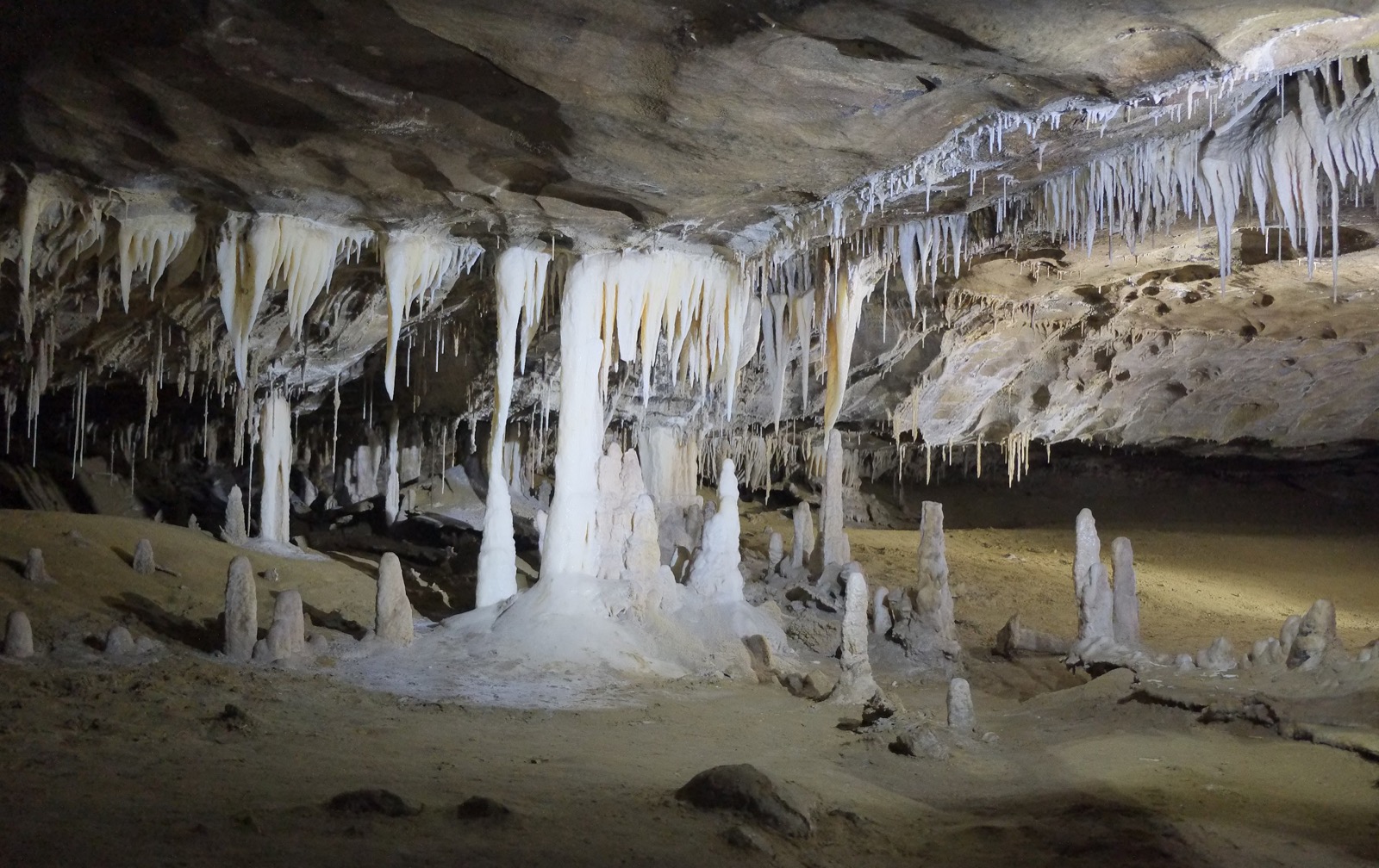 This 25-Question Mixed Trivia Quiz Was Made to Prevent You from Passing. Can You Beat the Odds? Cavern Full Of Stalactites And Stalagmites In Metro Cave Te Ananui Cave