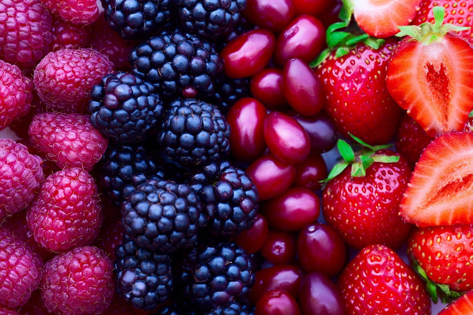 Are You A Desert, Forest, Mountain, Or Ocean? Quiz Berry
