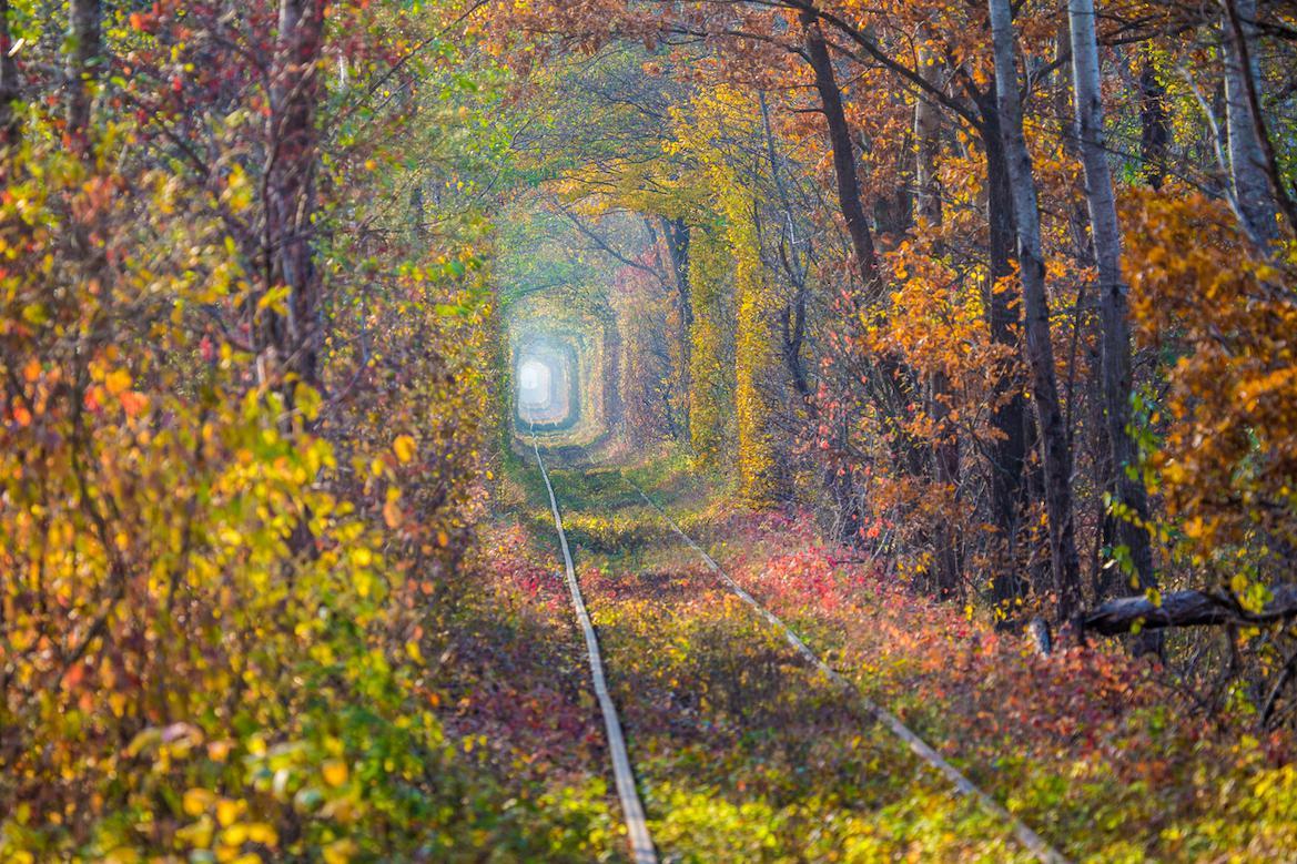 Tunnel of Love, Ukraine railway tracks