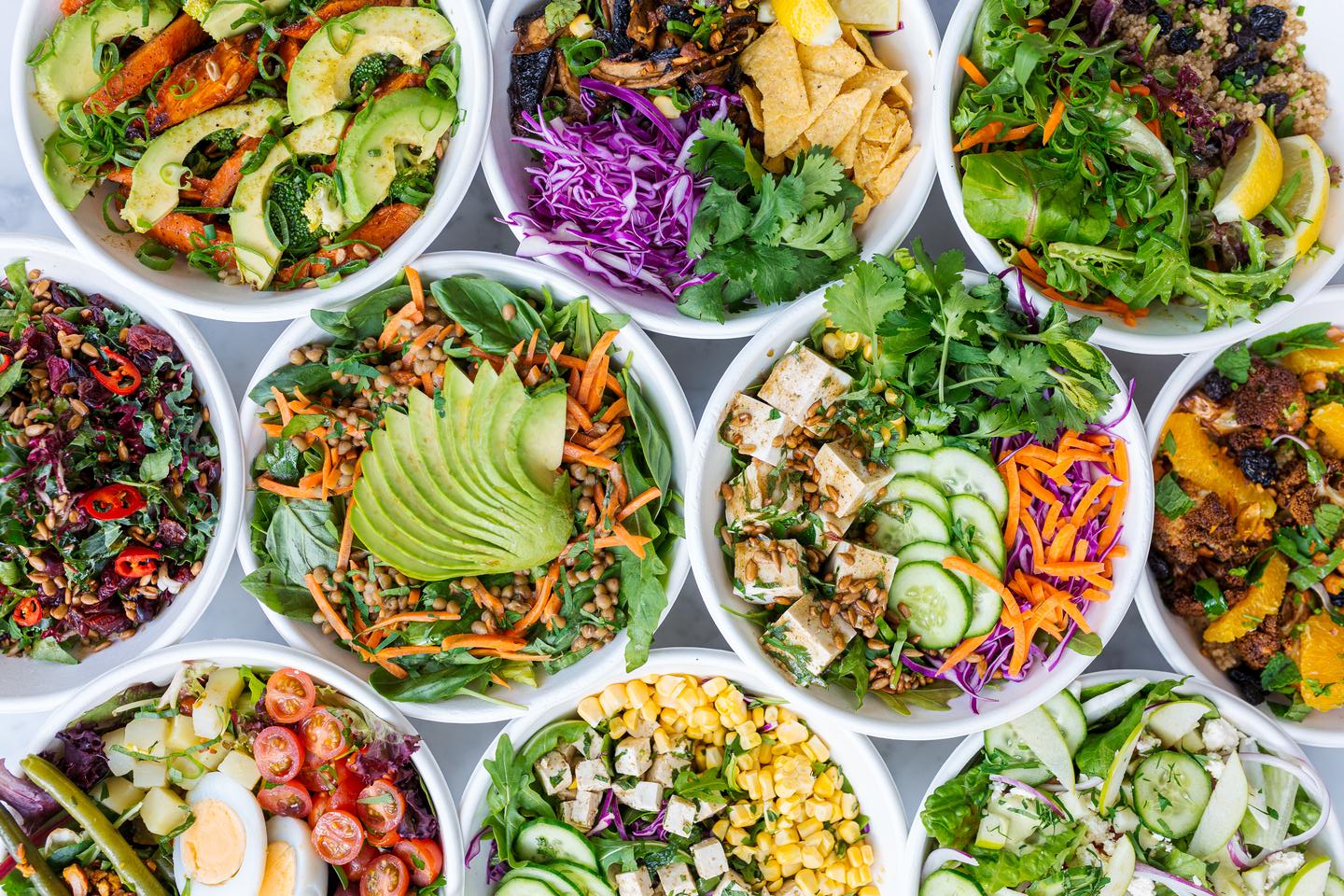 Which Bear Breed Are You? Quiz Green salad