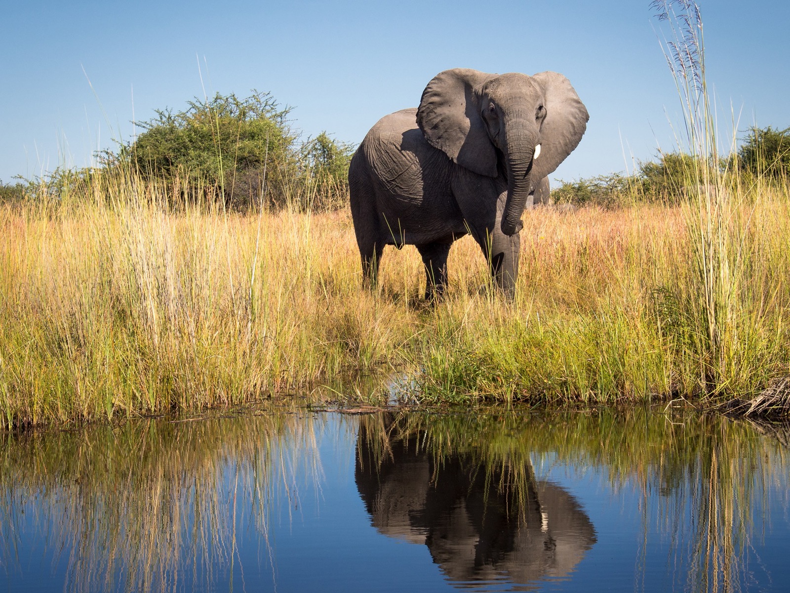 Countries That Changed Their Names Quiz Botswana