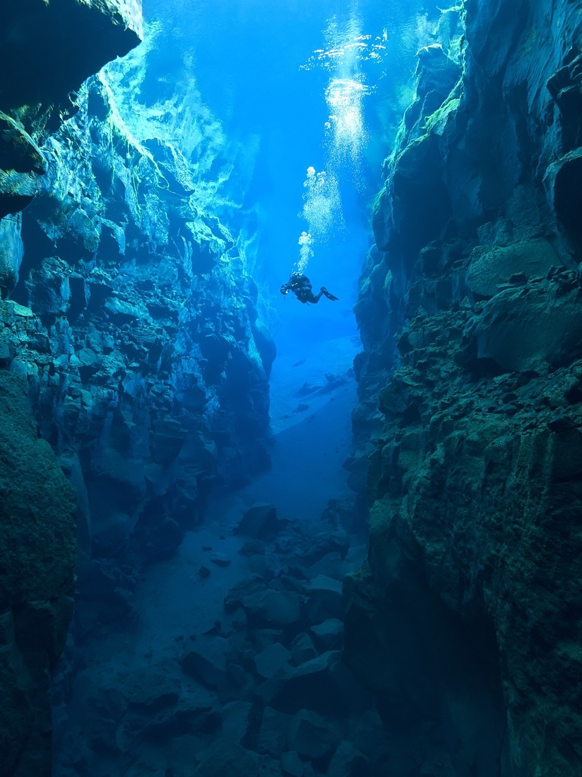We Know How Brave You Are Based on the Adventurous Activities You Are Willing to Take Part in Snorkel between continents at Thingvellir National Park
