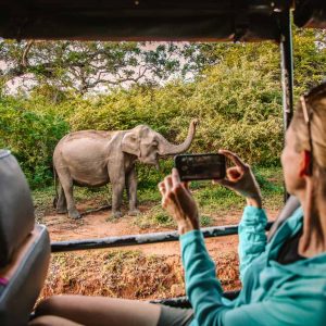 Which March Holiday Are You? Quiz Safari in Africa