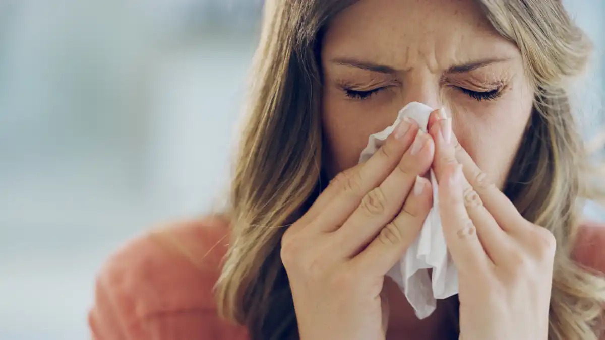 Which Of The Following Statements Is True? Sneeze cold flu runny nose sick