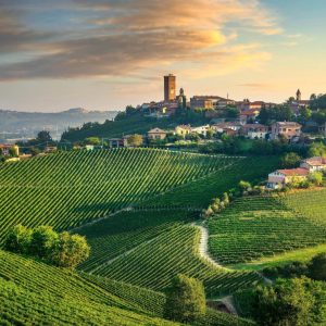 World Food Day Quiz Italy