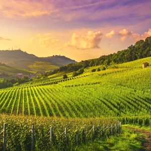 What Music Genre Am I? Quiz European countryside with rolling hills and vineyards