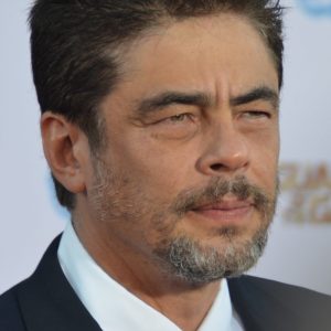 Pick Celeb To Watch Movies With To Know Final Ending Quiz Benicio del Toro