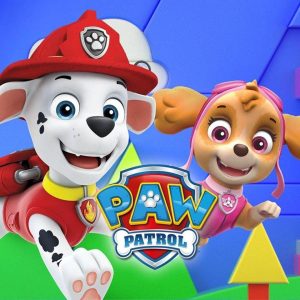 Those With Encyclopedic Knowledge Will Get 15 On This Quiz Paw Patrol