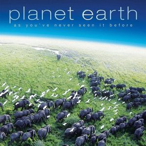 What Is Your Spring Color Palette? Quiz Planet Earth