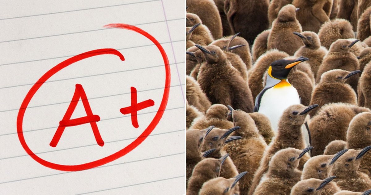 TBH, Most People Can’t Score Over 19 on This 25-Question English Test — Let’s See If You Can Do It