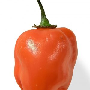 Spicy Food Trivia Quiz Habanero