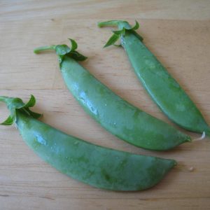 How Well-Rounded Is Your Knowledge? Take This General Knowledge Quiz To Know! Snap peas