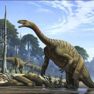 If You Can Get 100% On This 25-Question Mixed Knowledge Test, Your Intelligence Leaves Me Speechless Plateosaurus