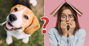 If You Can Get 100% On This 25-Question Mixed Knowledge… Quiz