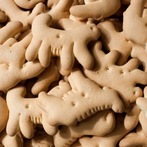 🍪 Craving Cookies and Coffee? ☕ This Quiz Will Tell You Which Brew Best Matches Your Personality Animal crackers