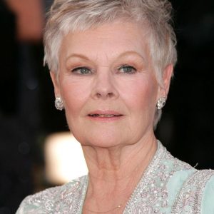 Match Celebs On Tinder To Know Type Of Partner You Need… Quiz Judi Dench