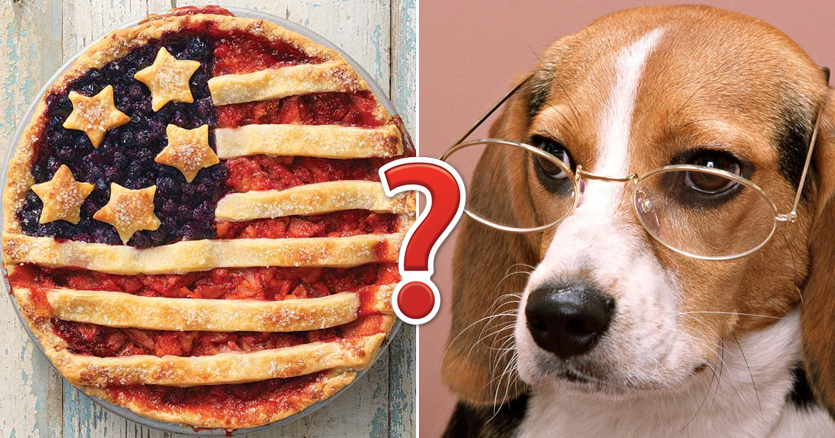 So You’re a Mixed Knowledge Brainiac? Prove It by Getting at Least 18/24 on This Quiz