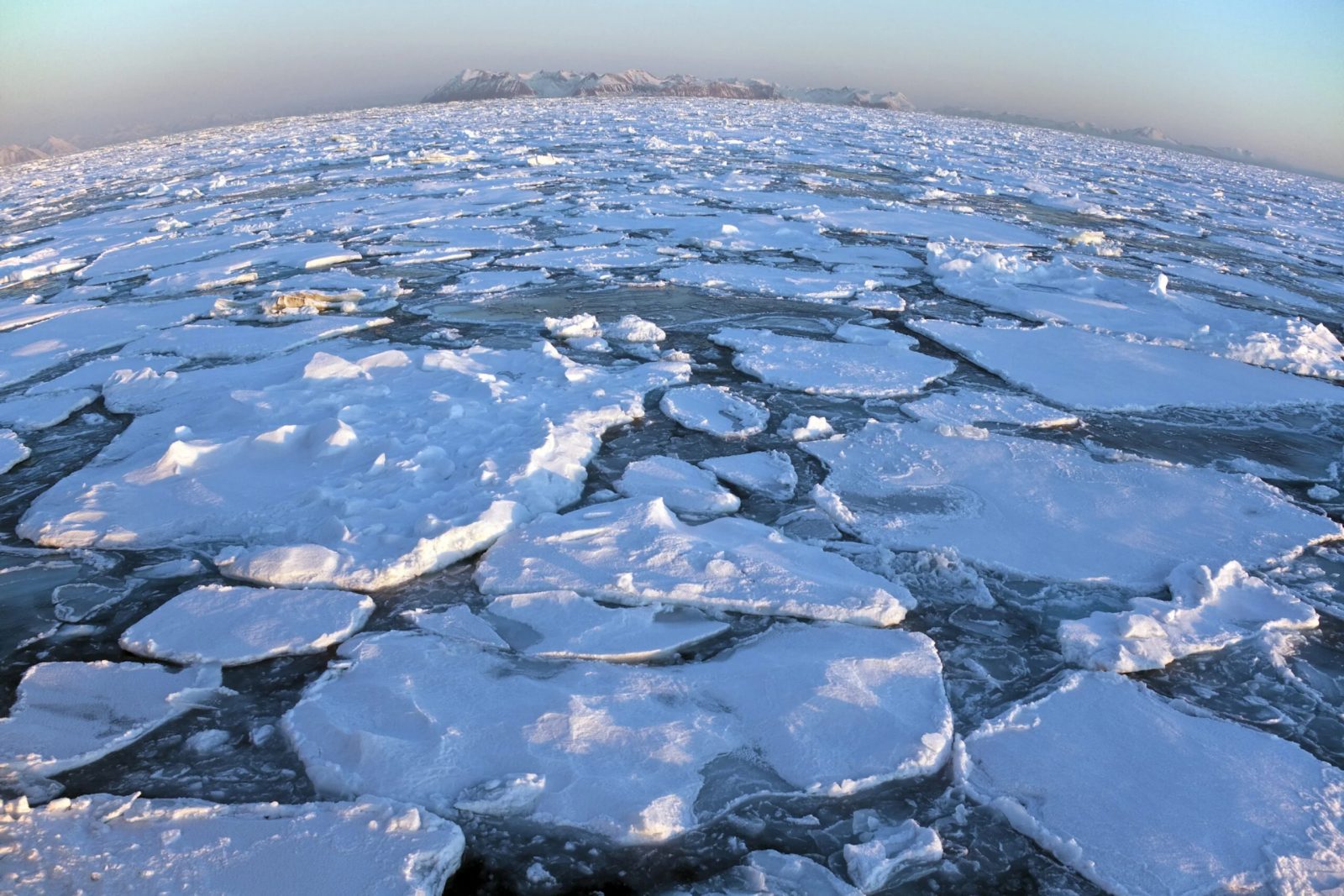 Ocean Or Sea Trivia Quiz Bering Sea