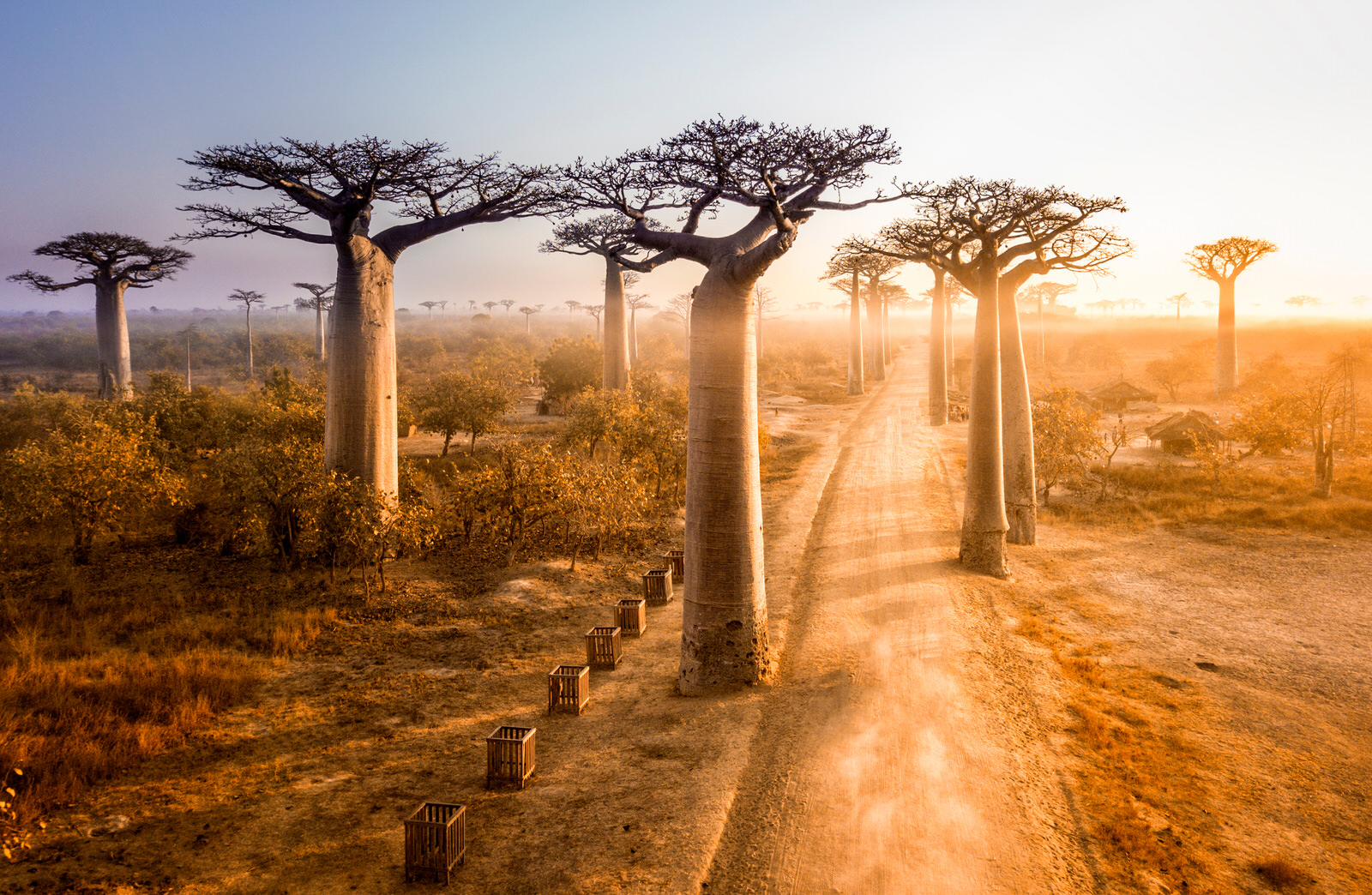 Can You Pass This 40-Question Geography Test That Gets Progressively Harder With Each Question? Avenue of the Baobabs, Madagascar