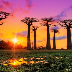Intermediate General Knowledge Quiz Madagascar