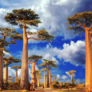 This City-Country Matching Quiz Gets Progressively Harder With Each Question – Can You Keep up With It? Madagascar
