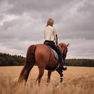 Guess The Book Titles Quiz Horse
