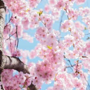 Stop Everything & Play This Travel Quiz To Know If You're Introvert Or Extrovert Spring