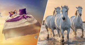 Pick What Happens Next in Your Dreams to Know Your Spir… Quiz
