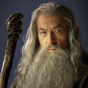 Dumbledore Or Gandalf Quiz Gandalf