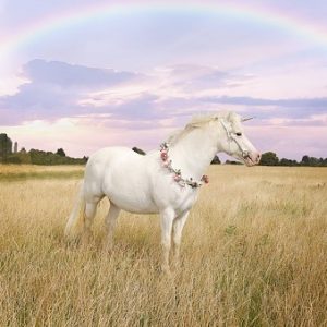How Well-Rounded Is Your Knowledge? Take This General Knowledge Quiz To Know! Unicorn