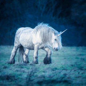 Harry Potter Magical Creatures Quiz Unicorns