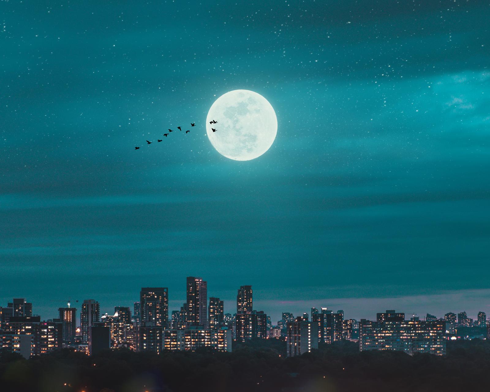Blue Trivia Quiz Full moon over city skyline during night time
