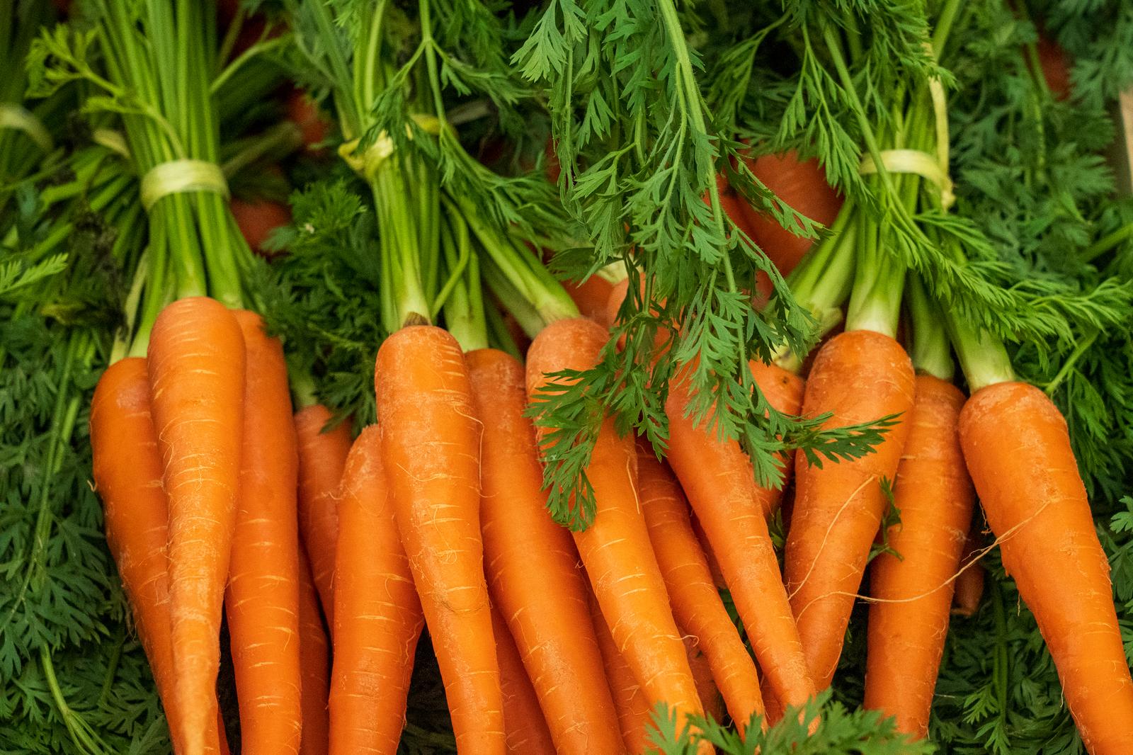 I’ll Reveal What 🐙 Misunderstood Animal Your Soul Aligns With Simply Based on This “Would You Rather” Food Test Carrots