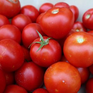 Fall Food Trivia Tomatoes