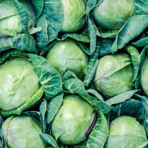 Cultural Cuisine Challenge Cabbage
