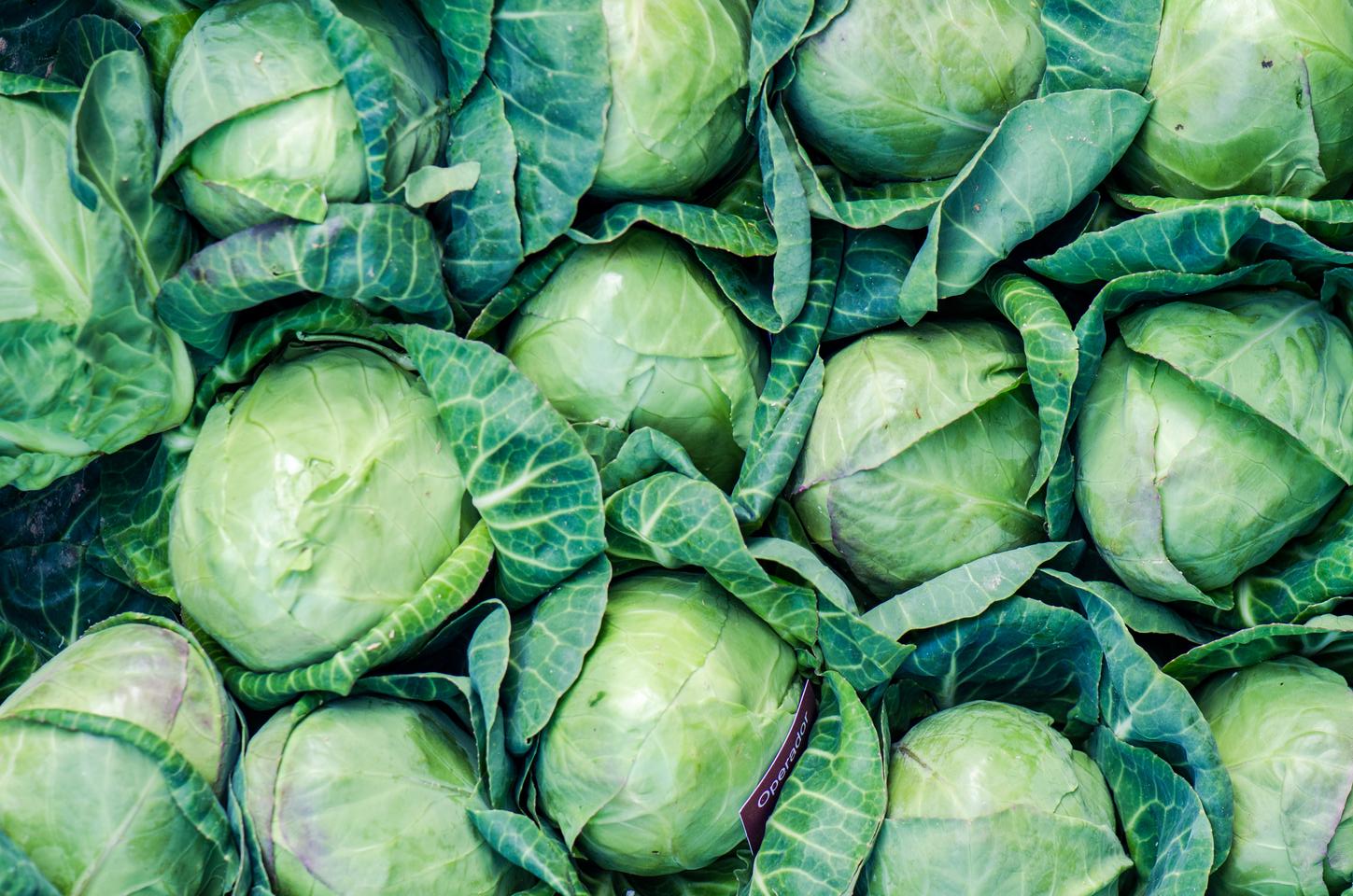 Ultimate Idioms Challenge 💬: Aces Vs. Average - Are You Ready? Cabbage