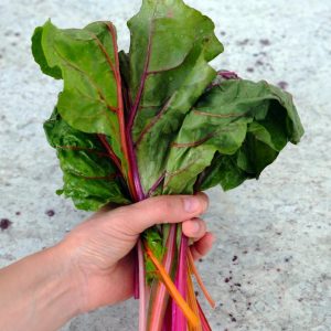 World Breakfast Trivia Quiz Chard
