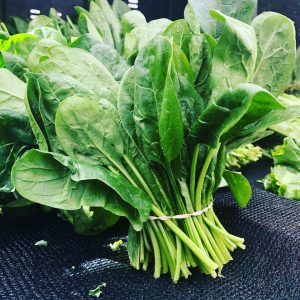 Sandwich Best Quality Quiz Spinach