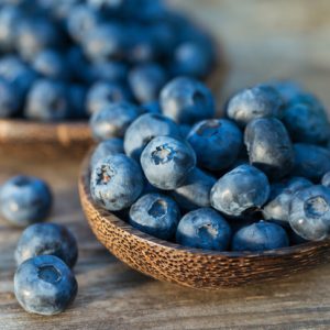 50 States Quiz Blueberries