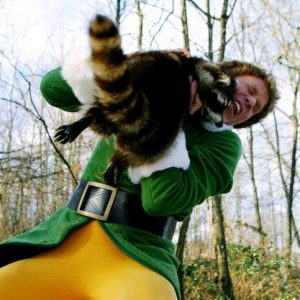 Winter Jeopardy Quiz Elf