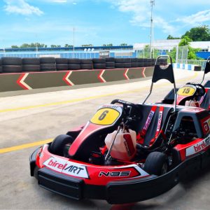Pick a Bunch of Activities If You Want Us to Analyze Your Personality and Tell You Your Best Quality Riding go-karts