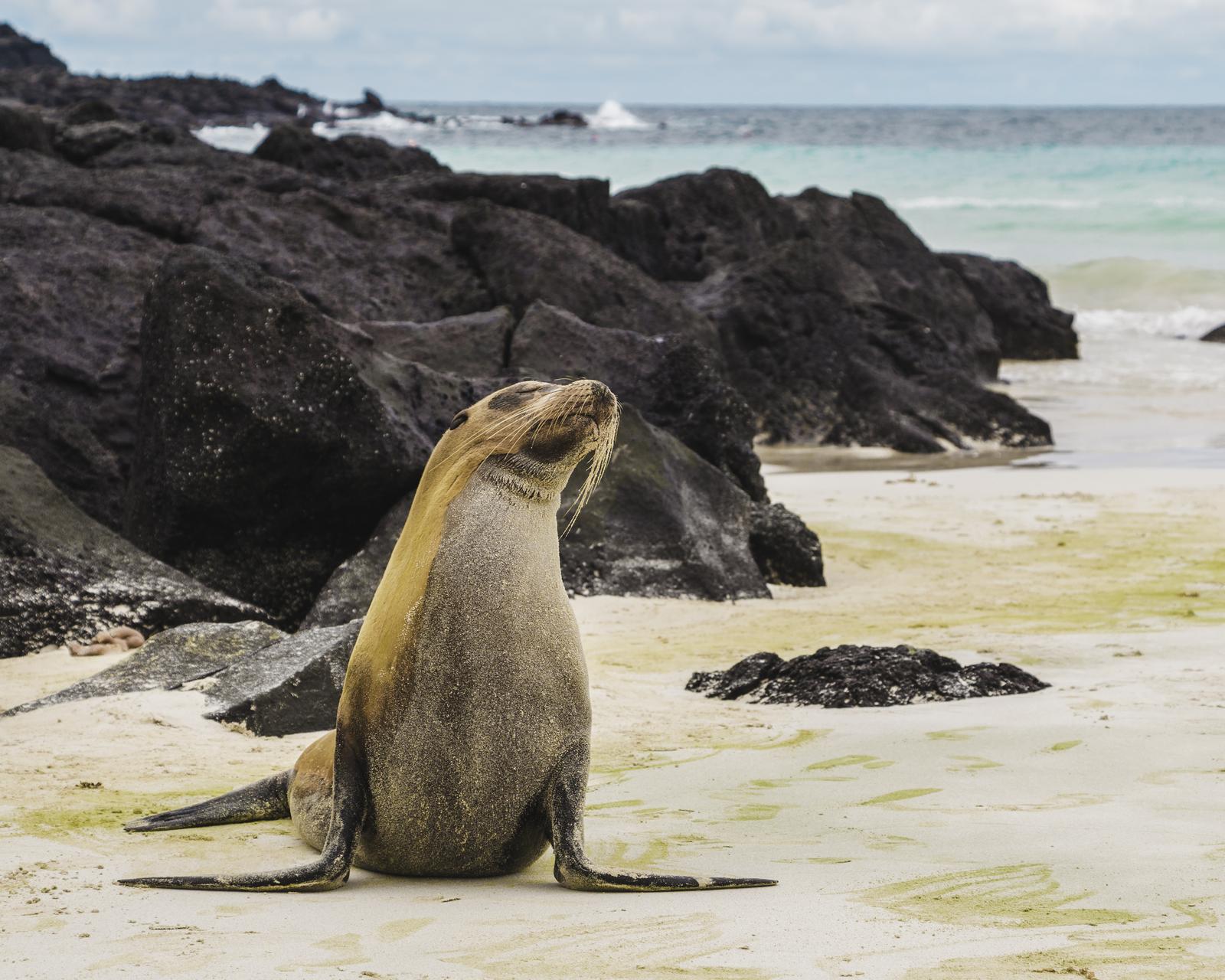 We’ll Give You an 🌮 International Food to Try Based on the ✈️ Places You Would Rather Visit Galapagos Islands